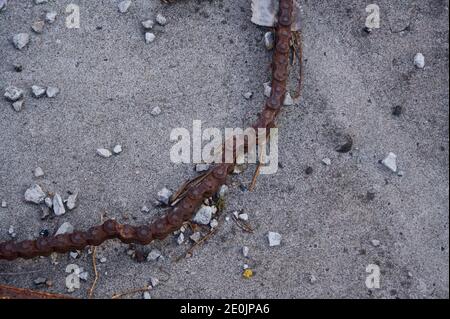 Primo piano foto di una lunghezza di catena arrugginita e ghiaia su cemento. Foto Stock