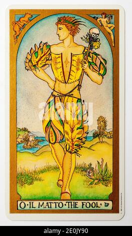 The Fool Tarot Card from US Games Systems Ltd Renaissance Ponte Foto Stock