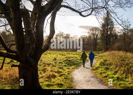 Belfast, UK 1 gennaio 2021 Bright Rainbow nel parco Belvoir, Belfast Foto Stock