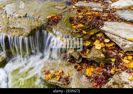 Area di conservazione del ponte di Crowe Northumberland County Ontario Canada Foto Stock