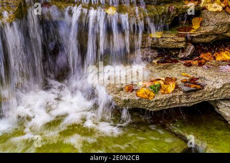 Area di conservazione del ponte di Crowe Northumberland County Ontario Canada Foto Stock