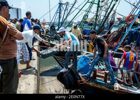 I pescatori scaricano le loro catture da un peschereccio a strascico sul molo del porto trafficato di Essaouira, sulla costa dell'Oceano Atlantico del Marocco. Foto Stock
