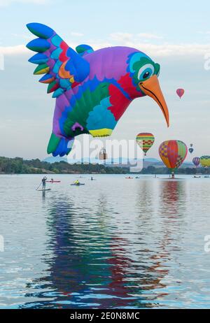 CANBERRA, 12 MARZO 2017, AUSTRALIA. Il mongolfiera grande uccello che scivolando sopra il lago Burly Griffin, durante l'annuale festival mongolfiera.uso editoriale Foto Stock