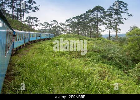 L'Ella a Kandy Diesel locomotiva del treno si snoda attraverso le piantagioni di tè vicino a Nuwara Eliya, Sri Lanka. Foto Stock