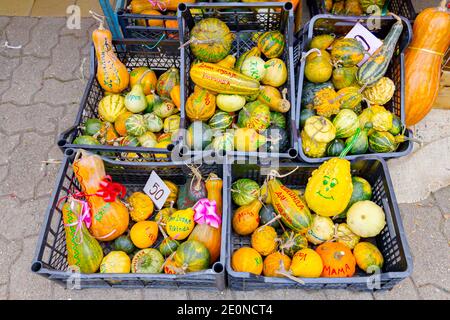 Kikinda, Vojvodina, Serbia - 11 ottobre 2014: Varie zucche colorate con note scritte e prezzo sono messe in casse per la vendita, disponibili presso le pulci Foto Stock