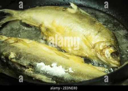 il pesce in pastella con crosta croccante viene fritto in farina di pangrattato e cotto in una padella con olio. Ricetta per la cucina tradizionale di pesce fritto Foto Stock