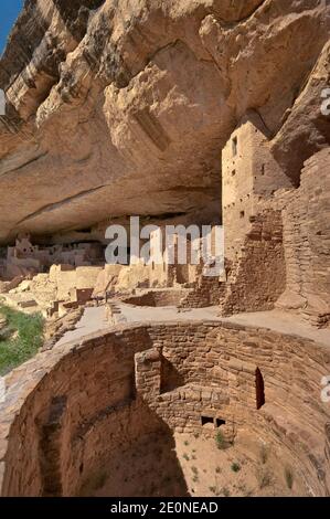 Camere, kiva (camera cerimoniale) presso le rovine Cliff Palace in alcova a Chaplin Mesa nel Mesa Verde National Park, Colorado, Stati Uniti Foto Stock