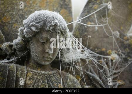 Un angelo di pietra scolpito in un Giardino della memoria coperto di gelo e ragni web dopo una notte di temperature gelide il giorno di Capodanno 2021. Foto Stock