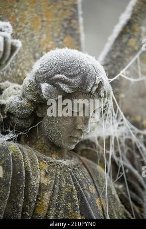 Un angelo di pietra scolpito in un Giardino della memoria coperto di gelo e ragni web dopo una notte di temperature gelide il giorno di Capodanno 2021. Foto Stock