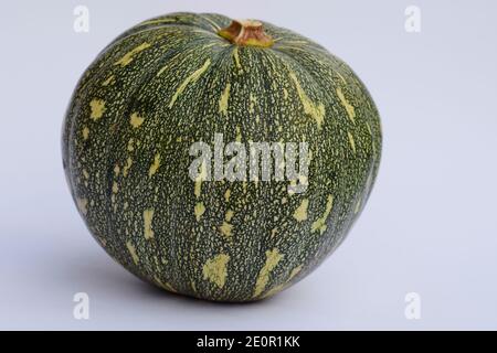 Zucca frutta di indan cruda usata anche come verdura per la preparazione del curry della cena di pranzo. . La zucca rotonda verde aveva polpa gialla all'interno. Fioritura di frutta indiana Foto Stock