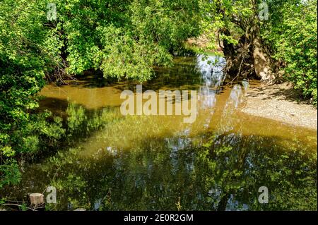 Intimità di un ruscello alberato. L'acqua dal torrente scorre sotto il fogliame degli alberi. Sul lato, una piccola spiaggia di ghiaia. Foto Stock