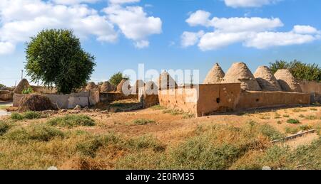 Vista panoramica del villaggio di Harran, tradizionali case di mattoni di fango 'alveare' con tetti a forma di cono, Sanliurfa, Turchia Foto Stock