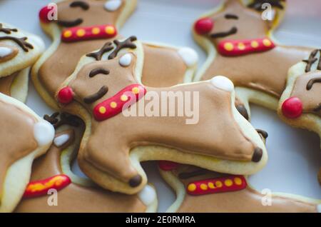 Primo piano di Rudolph in casa i biscotti di Natale delle renne dal naso rosso Foto Stock
