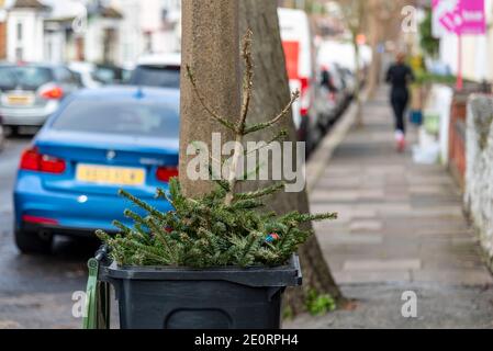 Albero di Natale scaricato in un bidone dei rifiuti, significando fine di Natale. Il Natale è finito e fatto. Spazzatura in strada pronta per la collezione Southend council Foto Stock