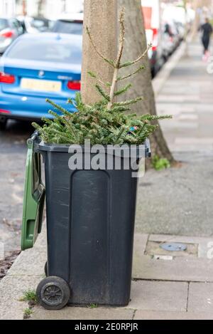 Albero di Natale scaricato in un bidone dei rifiuti, significando fine di Natale. Il Natale è finito e fatto. Spazzatura in strada pronta per la collezione Southend council Foto Stock