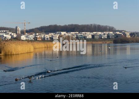 Edifici residenziali moderni presso il lago Phönix, Hörde, Dortmund, Ruhr Area, Nord Reno-Westfalia, Germania, Europa Foto Stock