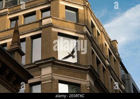 Carter Lane, Ludgate Hill Foto Stock