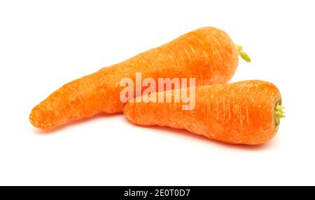 Carote cresciute di terreno di grandi dimensioni isolate su sfondo bianco Foto Stock