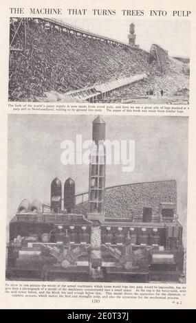 Foto d'epoca di fabbricazione della carta / produzione di carta - la macchina che trasforma gli alberi in polpa. Foto Stock