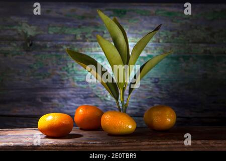 Primo piano Photo.Four Kumquats in Sharp Light on Shelf. Su sfondo di legno. Con foglie su ramo come decorazione. Foto Stock