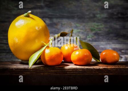 Mazzo di citruse in luce Sharp su scaffale. Limone, tre Citrus Tachibana e un Kumquat . Con foglie fresche o secche . Foto Stock