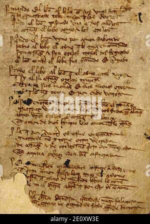 Libro de buen amor F. 3r. Foto Stock