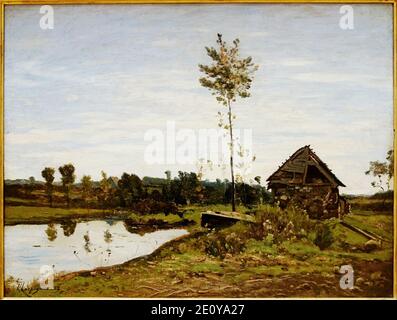 Lille PdBA harpignies paysage a la mare. Foto Stock