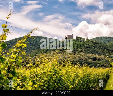 Un punto di riferimento storico vicino a Neustadt an der Weinstrasse Strada del vino tedesco o strada del vino meridionale nel Palatinato meridionale (Südpfalz) Foto Stock