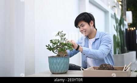 Ritratto di giardiniere felice tenendo forbici speciali potando rami di legno bonsai a casa. Foto Stock