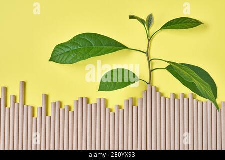 Tubi per bevande in carta e amido di mais, materiale biodegradabile e bicchieri di carta ecologica con foglie di germogli verdi su colore giallo tendente 2021 Foto Stock