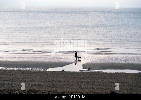 Hastings, East Sussex, Regno Unito. 3 gennaio 2021. Cane camminatore sulla spiaggia all'alba su freddo nuvoloso mattina in inverno. Foto Stock