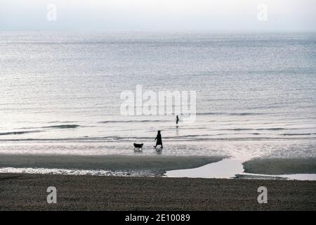 Hastings, East Sussex, Regno Unito. 3 gennaio 2021. Cane camminatore sulla spiaggia all'alba su freddo nuvoloso mattina. C.Clarke/Alamy Live News Foto Stock