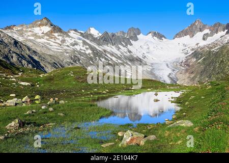 Alpi svizzere (m) Estate, ghiacciaio Oberaar, Oberaarhorn, 3638 m, Finsteraarhorn, 4274 m, Oberland Bernese, Berna, Svizzera, Europa Foto Stock