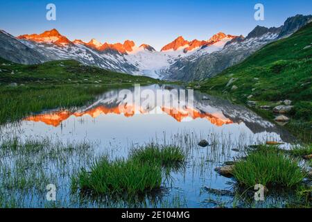 Alpi svizzere (m) Estate, ghiacciaio Oberaar, Oberaarhorn, 3638 m, Finsteraarhorn, 4274 m, Oberland Bernese, Berna, Svizzera, Europa Foto Stock