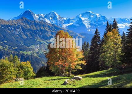 Eiger, 3970 (m), Mönch, 4107 m, Jungfrau, 4158 m, Oberland Bernese, Svizzera, Europa Foto Stock