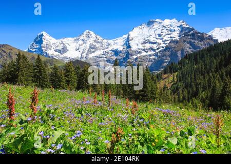 Eiger, 3970 m, Mönch, 4107 m, Jungfrau, 4158 m, Oberland Bernese, Svizzera, Europa Foto Stock