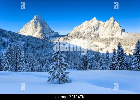 I Miti, Svitto, Svizzera, Europa Foto Stock