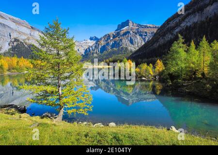Lac de Derborence e Mont Gond, Vallese, Svizzera, Europa Foto Stock