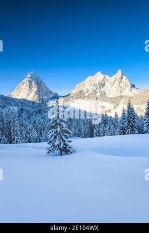 Grandi e piccoli miti, Svitto, Svizzera, Europa Foto Stock