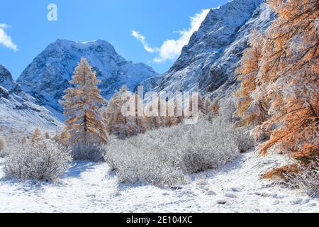 Mt. Collon, 3637 m, Arolatal, Vallese Svizzera Foto Stock