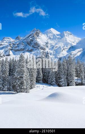 Blüemlisalp Rothorn, Blüemlisalphorn, Oeschinenhorn, Alpi Bernesi, Svizzera, Europa Foto Stock