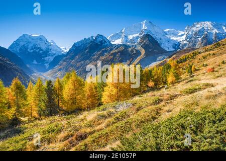 Monte Collon, Pigne d'Arolla, Arolatal, Vallese Svizzera Foto Stock