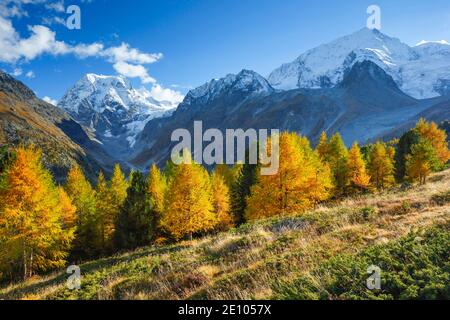 Monte Collon, Pigne d'Arolla, Arolatal, Vallese Svizzera Foto Stock