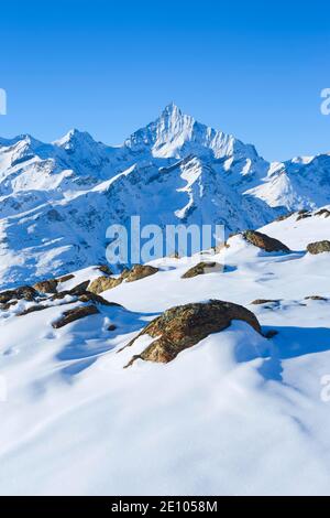 Weisshorn, 4505m, Zermatt, Vallese, Svizzera, Europa Foto Stock