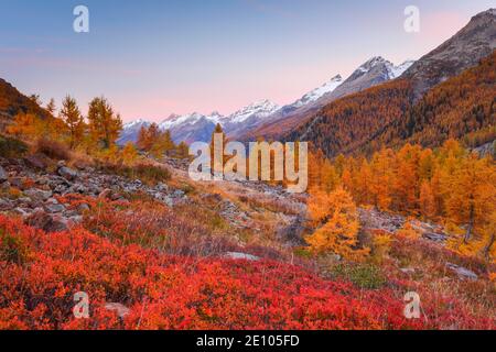 Lötschental, Vallese, Svizzera, Europa Foto Stock