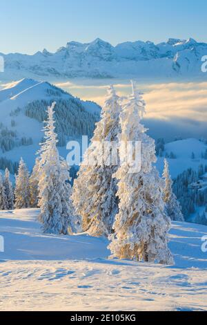 Vista da Rigi, Svizzera, Europa Foto Stock