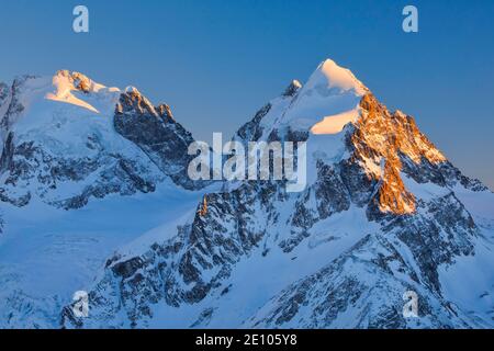 Piz Scerscen, 3971 m, Piz Roseg 3937 m, Grigioni, Svizzera, Europa Foto Stock