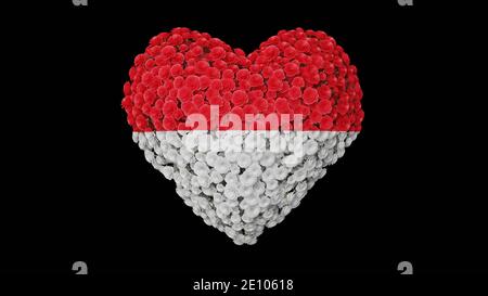 Festa nazionale di Monaco. 19 novembre. Il giorno del Principe Sovrano. Forma del cuore fatta di fiori su sfondo nero. Rendering 3D. Foto Stock