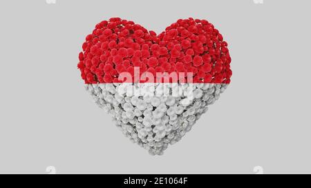 Festa nazionale di Monaco. 19 novembre. Il giorno del Principe Sovrano. Forma del cuore fatta di fiori su sfondo bianco. Rendering 3D. Foto Stock