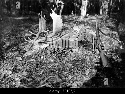 Colpo stag e fucile, caccia con Paul von Hindenburg, ca. 1930, Germania, Europa Foto Stock